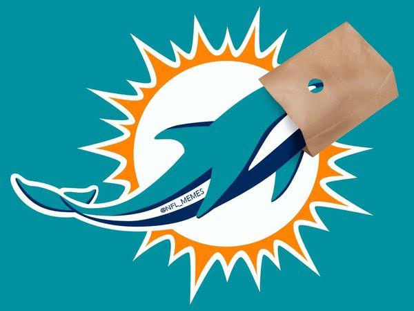 dolphins bag on head meme