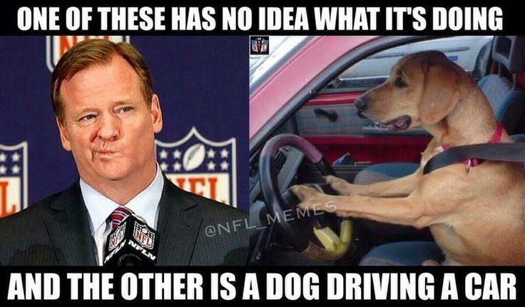 fire-roger-goodell-meme.jpeg