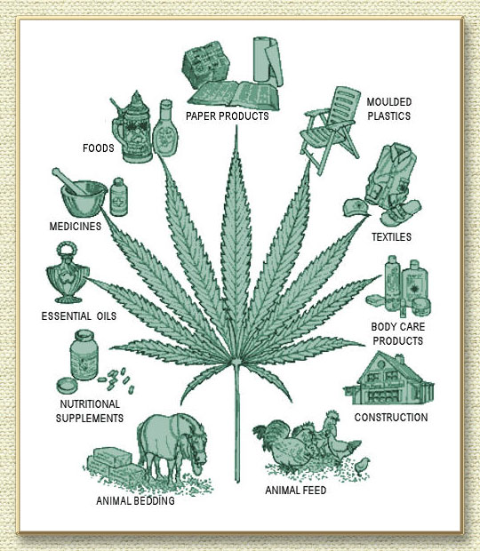 hemp uses