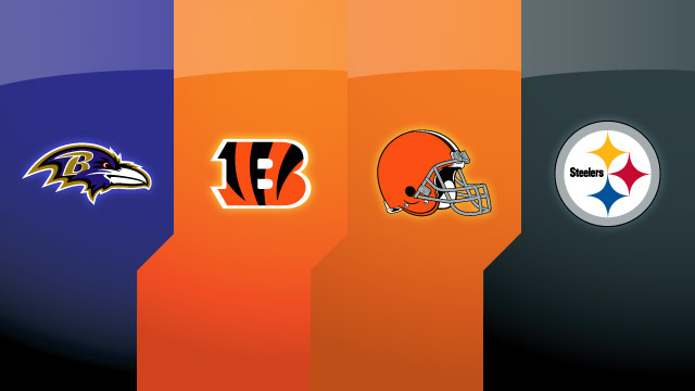 Fantasy Football 6/2/15: AFC North Spotlight, Jess's Birthday! episode artwork